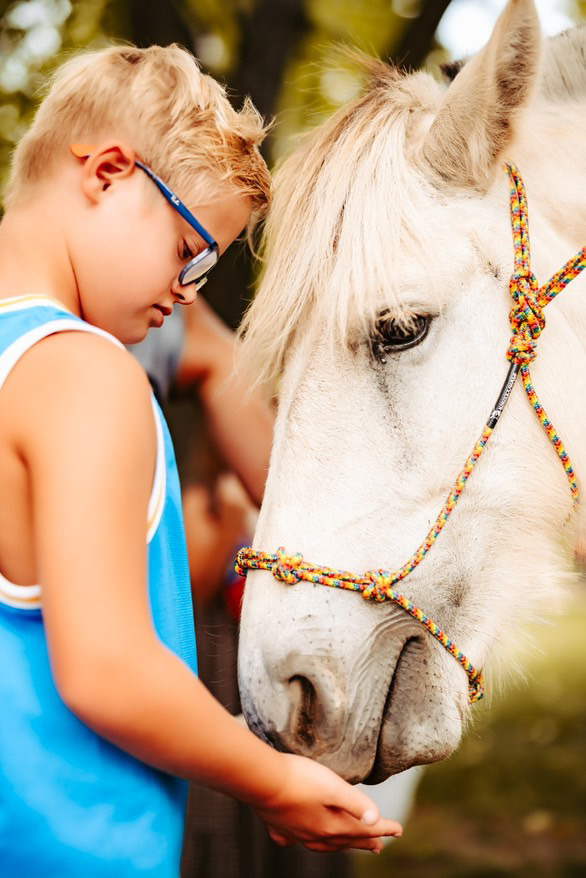 Syver the pony spends quality time with a young boy.