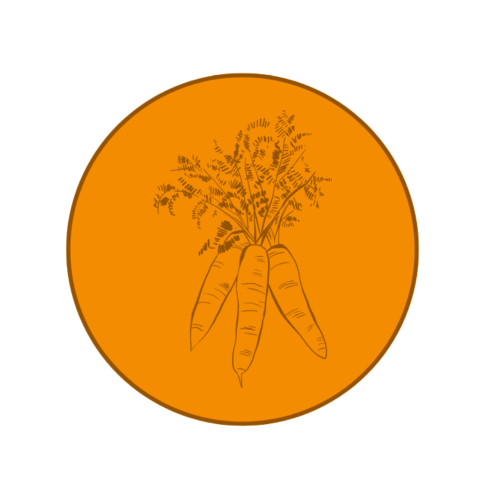 orange icon with three drawn carrots in the center.